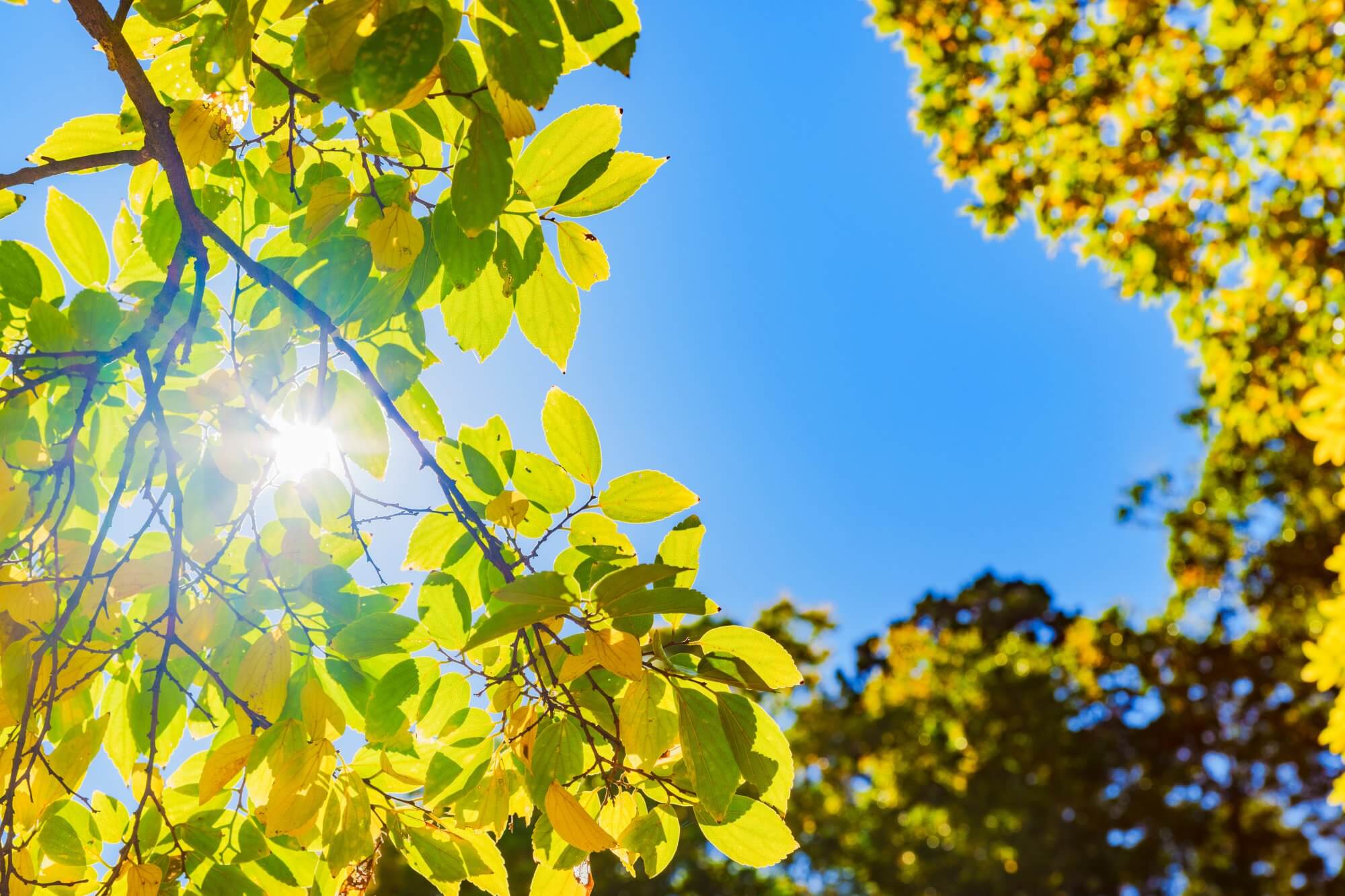 Warum wir die Klimaziele schneller erreichen werden als wir denken